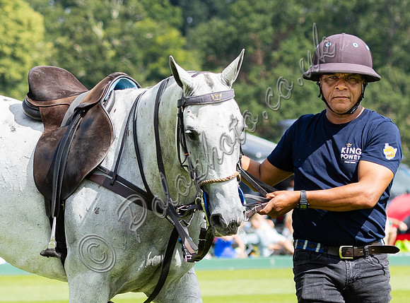 Polo action, 2024, Cowdray Park Polo Club