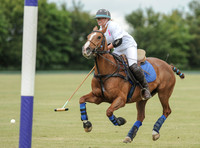 polo action between Coxwell and Freebooters