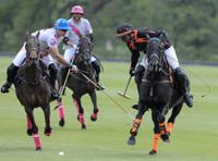 GGB_3392