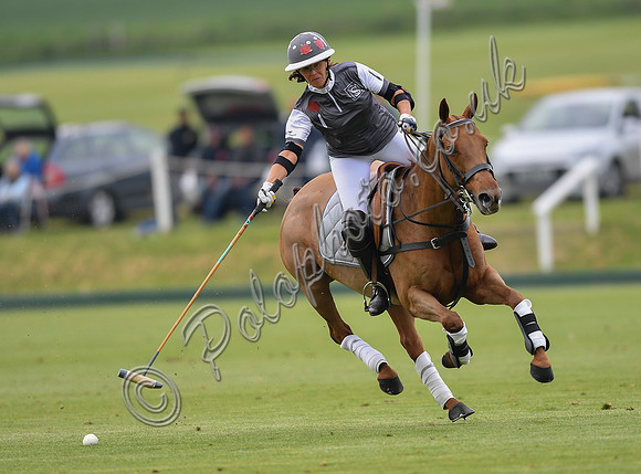 DAA_5610