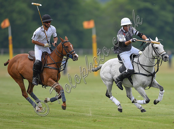 Treading in time at polo match