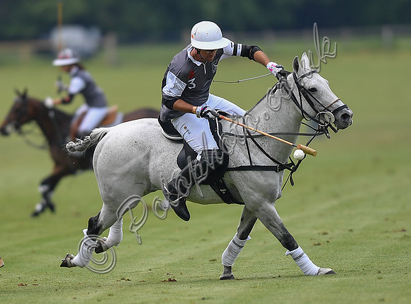 Treading in time at polo match