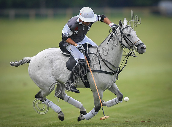 Treading in time at polo match