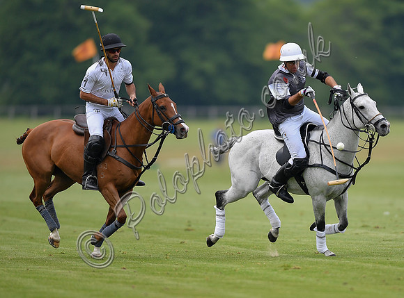 Treading in time at polo match