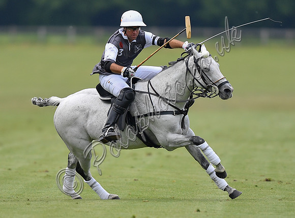 Treading in time at polo match