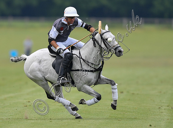 Treading in time at polo match