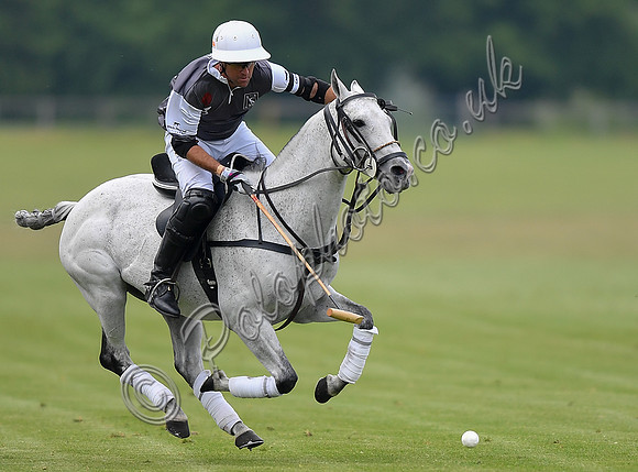Treading in time at polo match