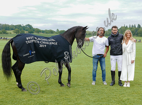 Best Playing Pony Azúcar