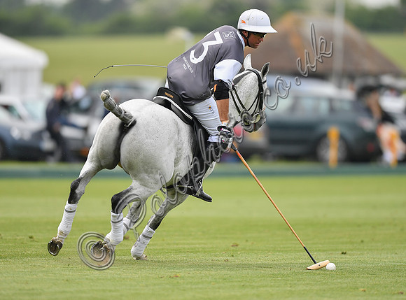 Treading in time at polo match