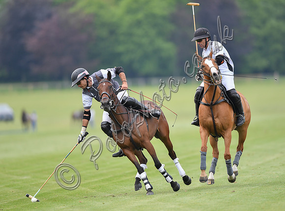 Treading in time at polo match