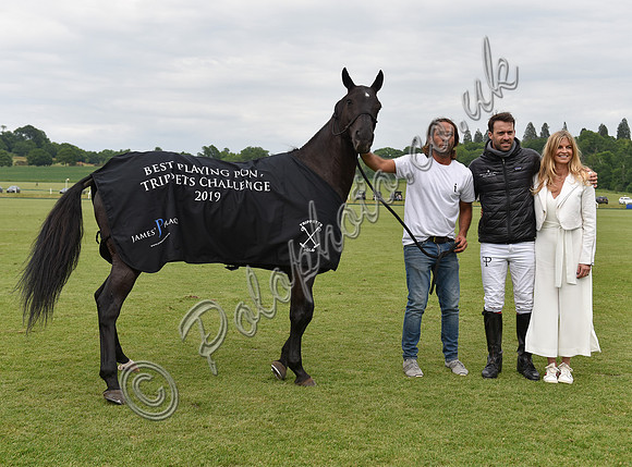 Best Playing Pony Azúcar
