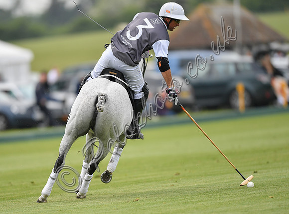 Treading in time at polo match