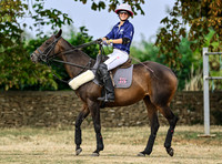 Polo action, Wichenford Bowl 2025 semi-final match, Beaufort Polo Club