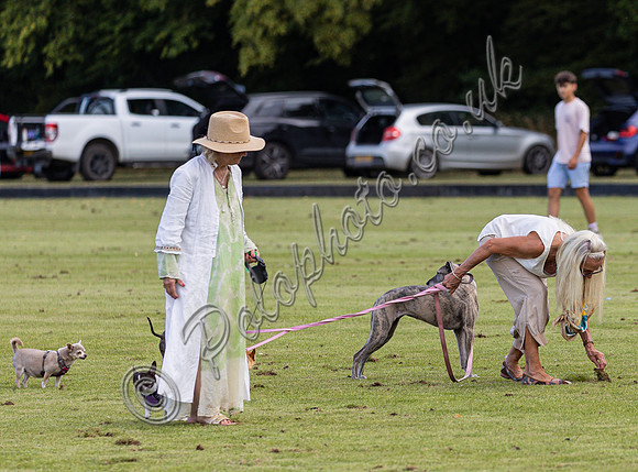2025 County Cup semi-final action at Cirencester Park Polo Club