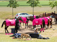 2022 Ladies 16 goal Final at Black Bears Polo Club