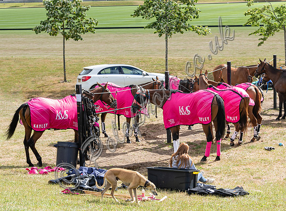 2022 Ladies 16 goal Final at Black Bears Polo Club