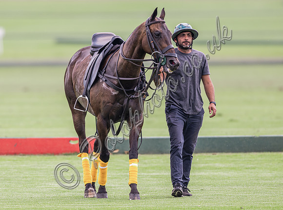 Polo action, 2024 Gold Cup, Cowdray Park Polo Club