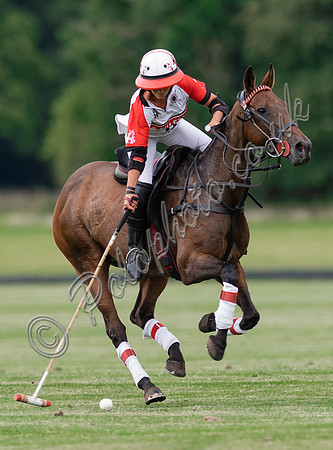 Polo action, VL Ladies 18 Goal, Cirencester Park
