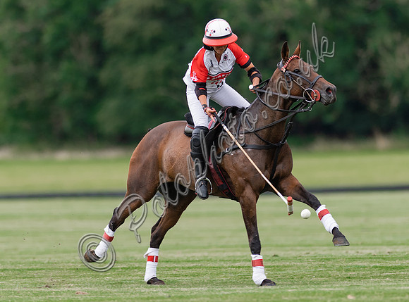 Polo action, VL Ladies 18 Goal, Cirencester Park