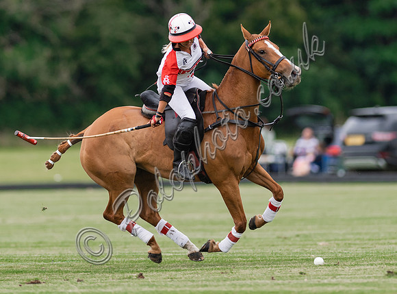 Polo action, VL Ladies 18 Goal, Cirencester Park