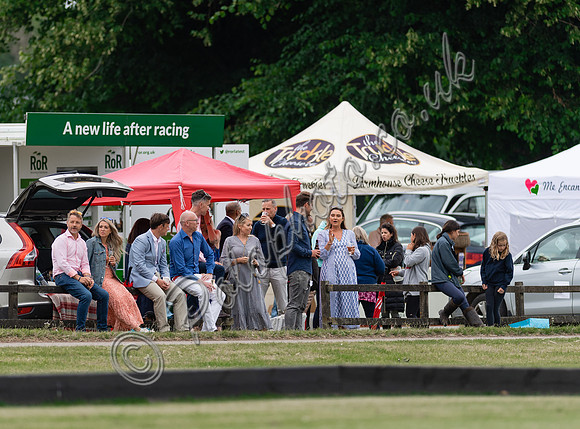 Polo action, VL Ladies 18 Goal, Cirencester Park