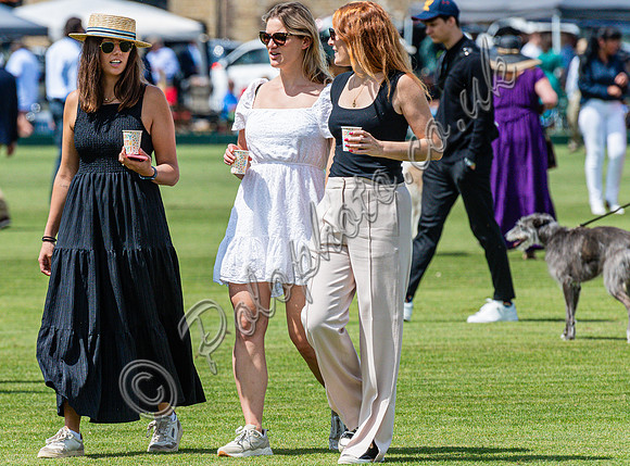 Polo action, 2023 Gold Cup, Cowdray Park Polo Club