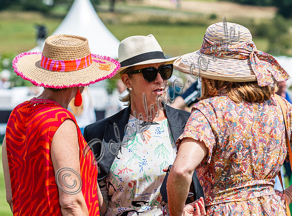 Polo action, 2023 Gold Cup, Cowdray Park Polo Club