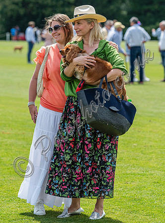 Polo action, 2023 Gold Cup, Cowdray Park Polo Club
