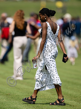 Polo action, 2023 Gold Cup, Cowdray Park Polo Club