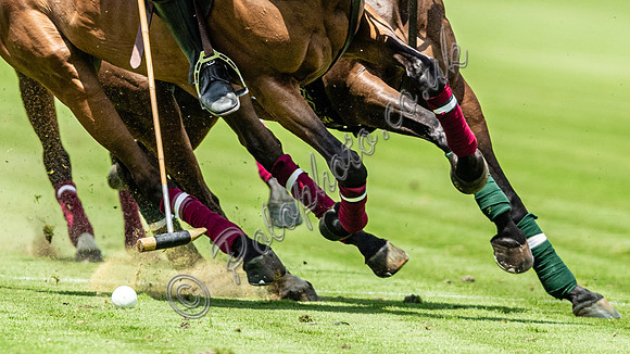 Polo action, 2023 Gold Cup, Cowdray Park Polo Club