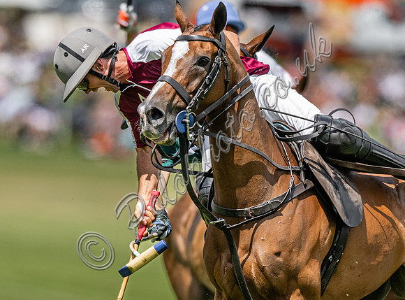 Polo action, 2023 Gold Cup, Cowdray Park Polo Club