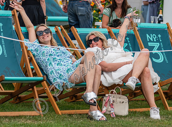 Atmosphere 67th British Polo Open Championships - Cowdray Gold Cup