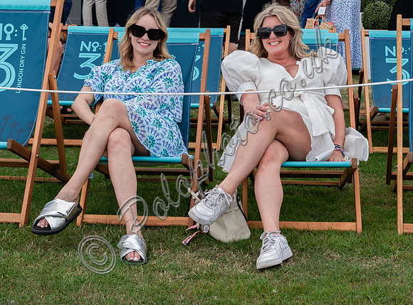 Atmosphere 67th British Polo Open Championships - Cowdray Gold Cup