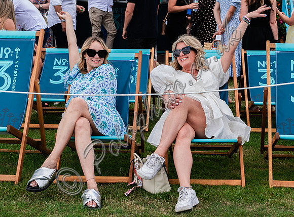 Atmosphere 67th British Polo Open Championships - Cowdray Gold Cup