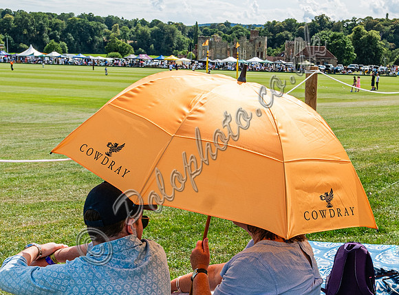 Atmosphere 67th British Polo Open Championships - Cowdray Gold Cup