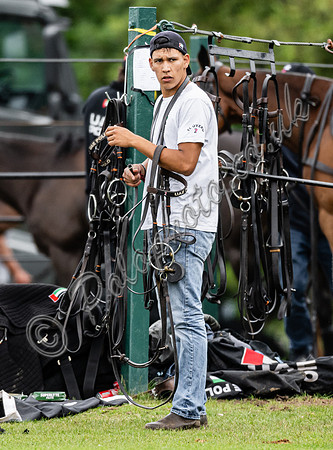 2023 Gold Cup, Cowdray Park Polo Club
