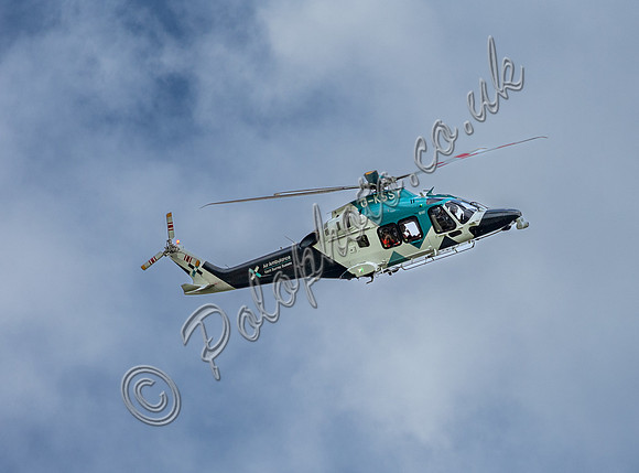 CAN_5406