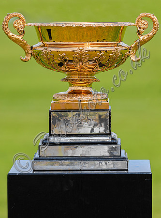 Cowdray Park Gold Cup Image
