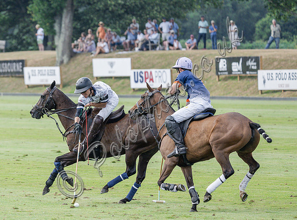 olo action, 2025 Gold Cup, Cowdray Park Polo Club