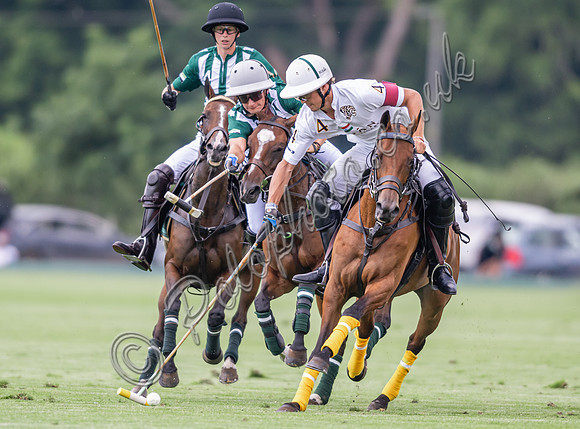 Polo action, 2024 Gold Cup, Cowdray Park Polo Club