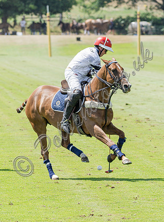 olo action, 2025 Gold Cup, Cowdray Park Polo Club