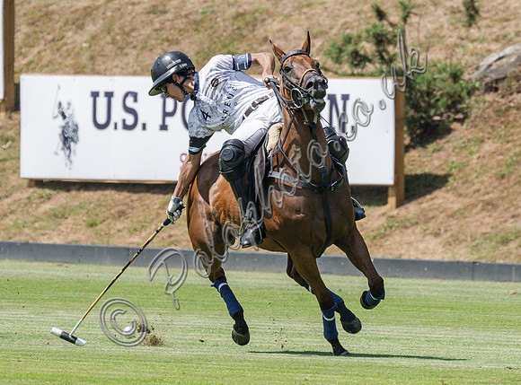 olo action, 2025 Gold Cup, Cowdray Park Polo Club