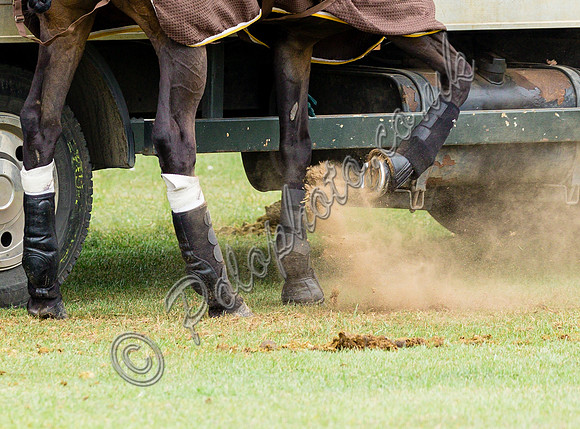 Polo action, 2022 Tyro Cup, Cowdray Park Polo Club