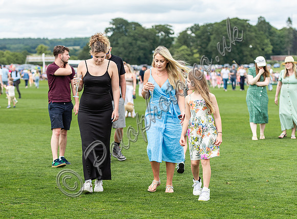 Polo action, 2024, Cowdray Park Polo Club