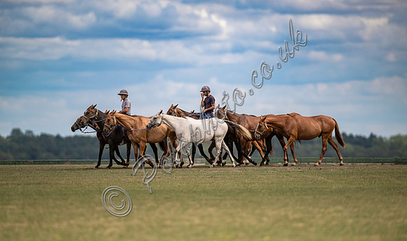 2025 County Cup semi-final action at Cirencester Park Polo Club