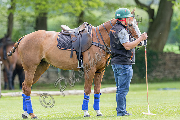Polo action, Badminton Cup, Beaufort Polo Club