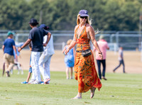 Treading in at polo match