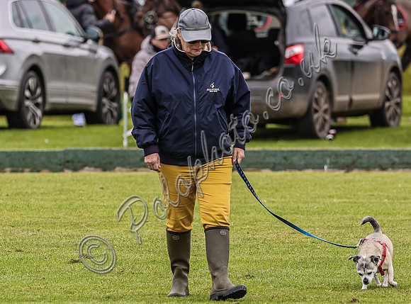 Polo action, Warwickshire Cup 2024 at Cirencester Park