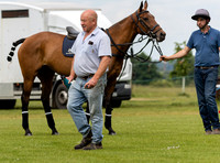 Polo action, June 12 Goal, Cirencester Park