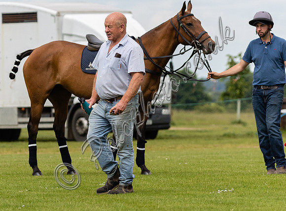 Polo action, June 12 Goal, Cirencester Park